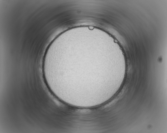 X0000116831282201001081430