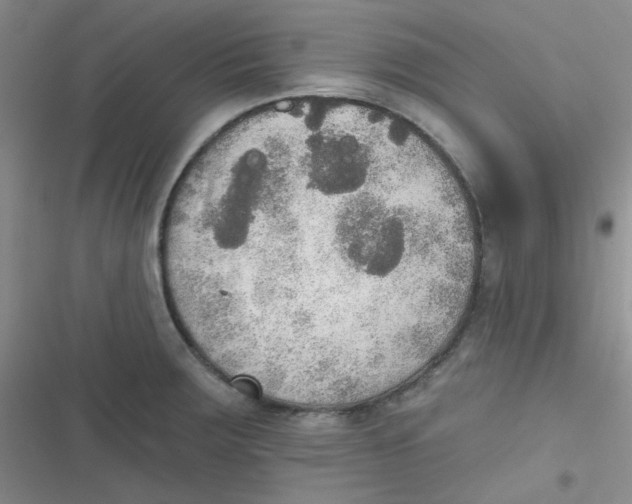 X0000116831283201001081430