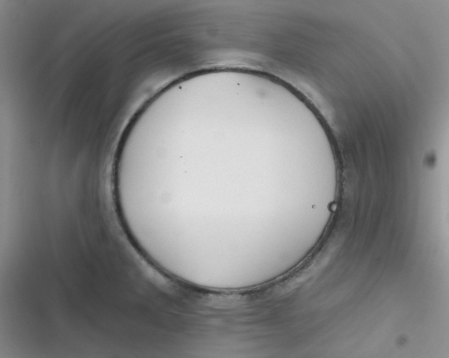 X0000116831285201001081430