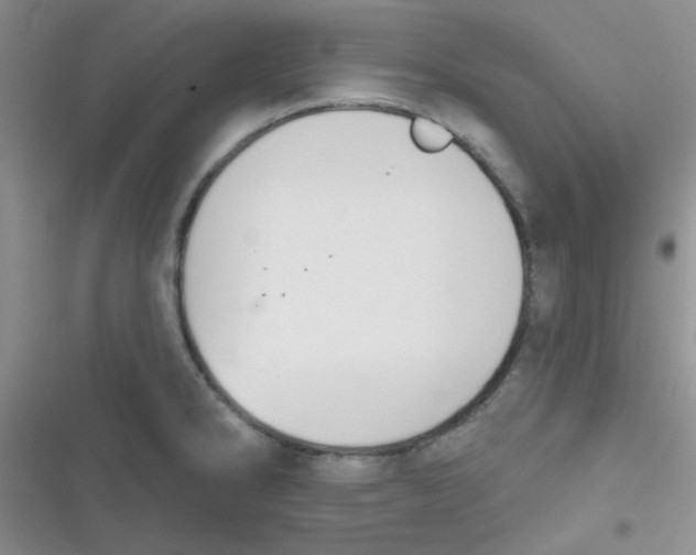 X0000116831286201001081430