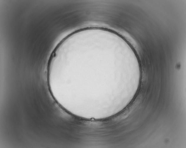 X0000116831287201001081430