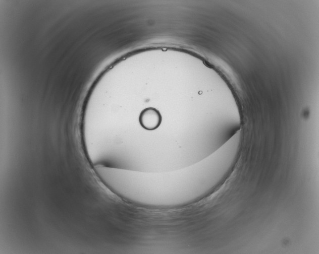 X0000116831288201001081430