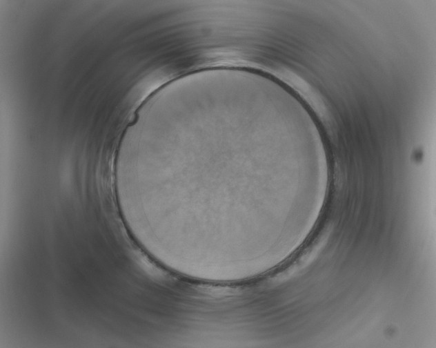 X0000116831289201001081430