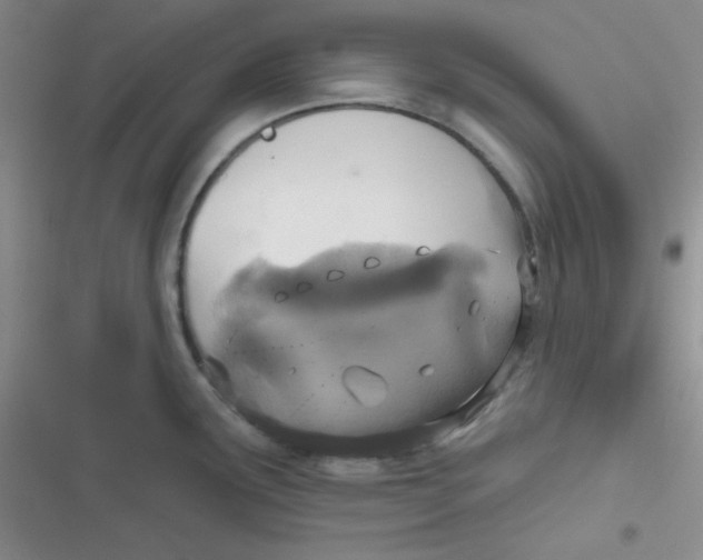 X0000116831291201001081430