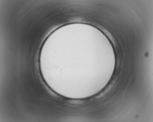 X0000116831293201001081430