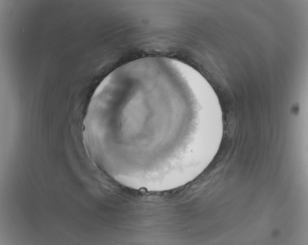 X0000116831297201001081429
