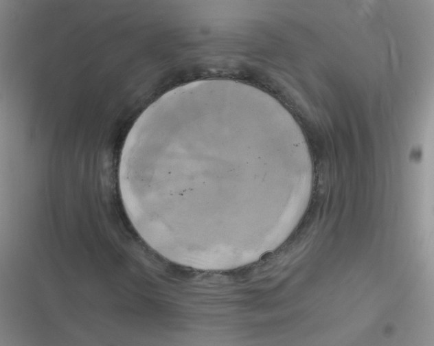 X0000116831298201001081429