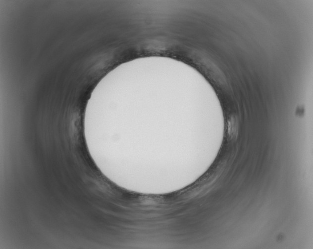 X0000116831299201001081429