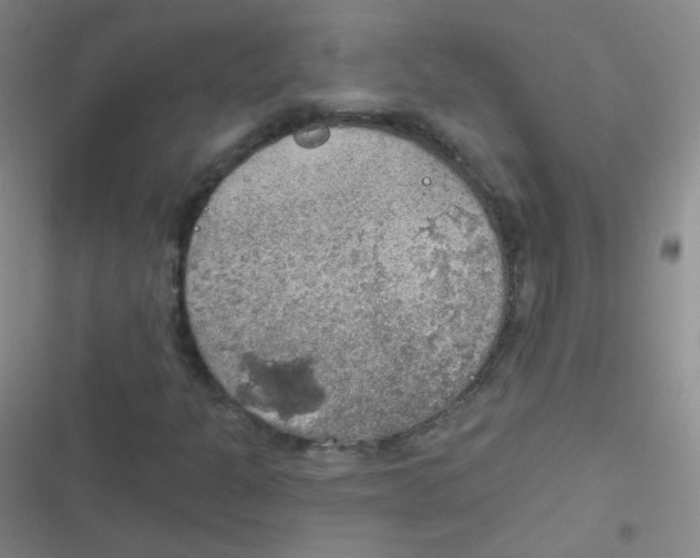 X0000116831301201001081429