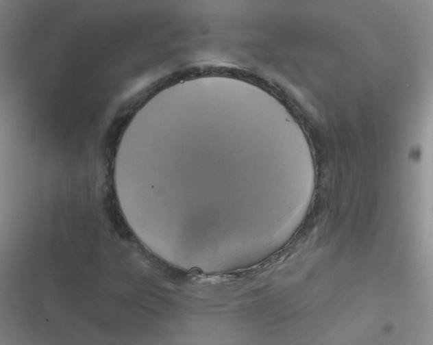 X0000116831303201001081429