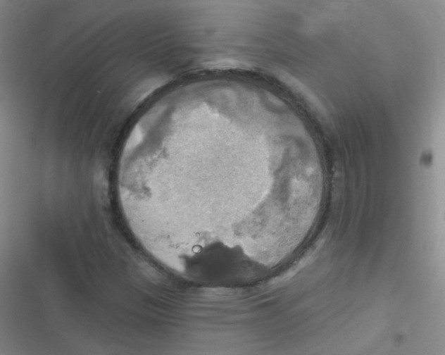 X0000116831305201001081429