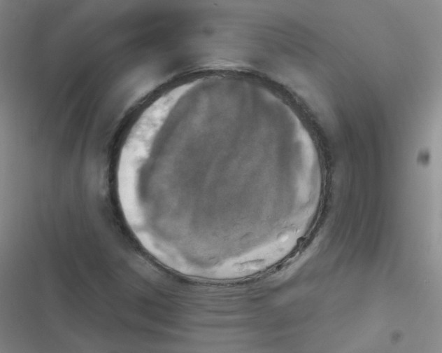 X0000116831306201001081429
