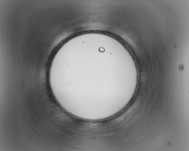 X0000116831309201001081429