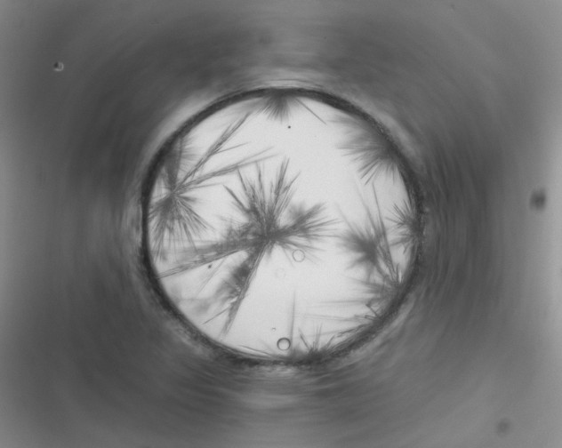X0000116831317201001081429