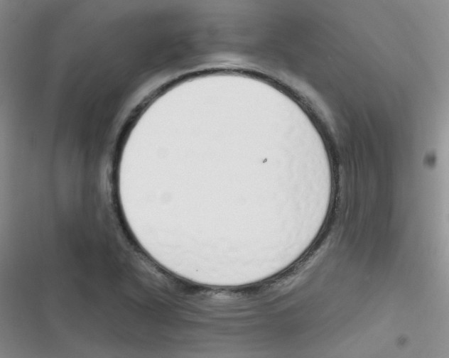 X0000116831318201001081429
