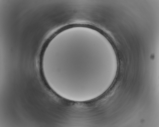 X0000116831319201001081429