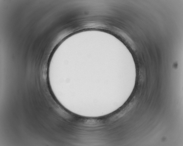 X0000116831322201001081429
