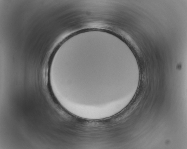 X0000116831323201001081429