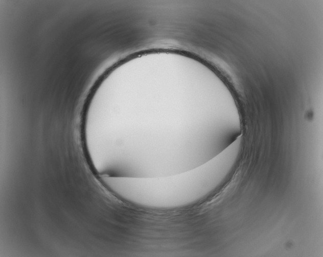 X0000116831326201001081429