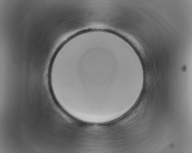 X0000116831327201001081429