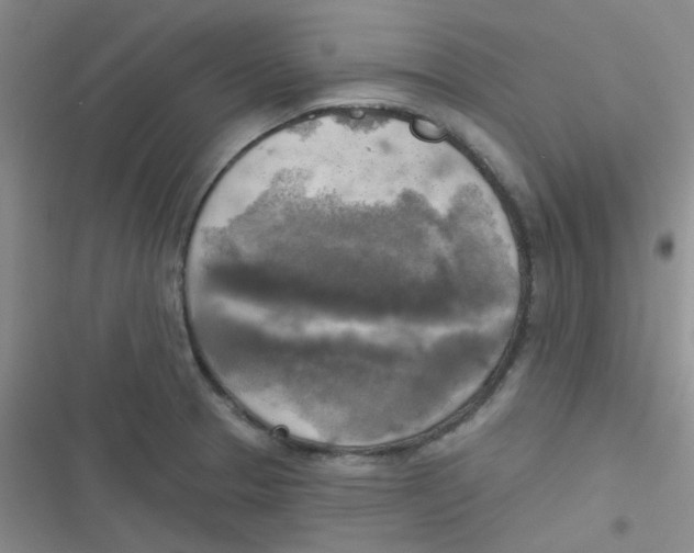 X0000116831329201001081429