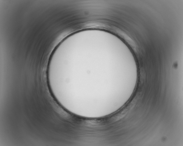 X0000116831330201001081429