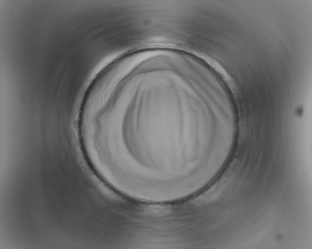 X0000116831333201001081430