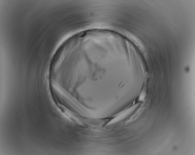 X0000116831334201001081430