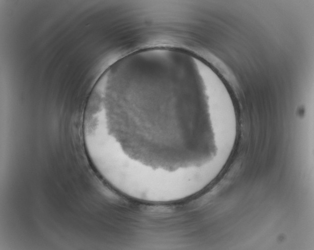 X0000116831337201001081430