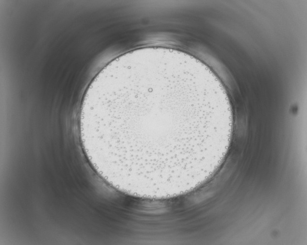 X0000116831338201001081430