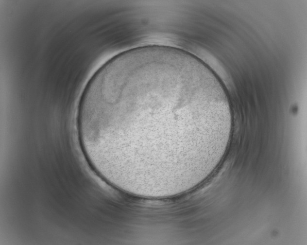 X0000116831339201001081430