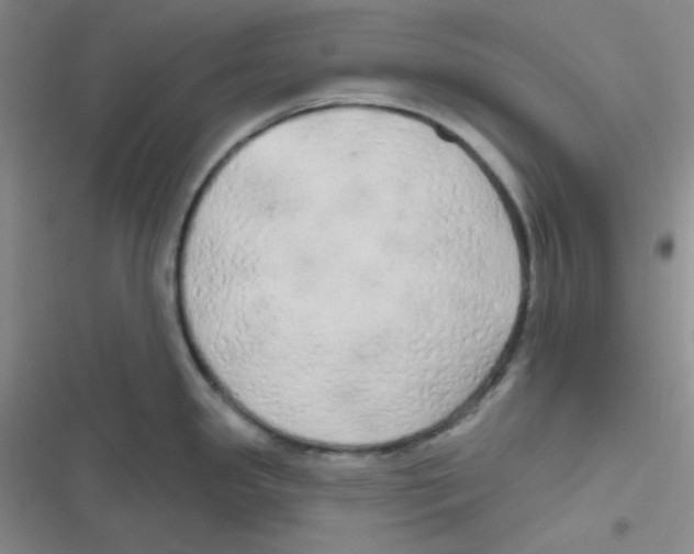 X0000116831341201001081430