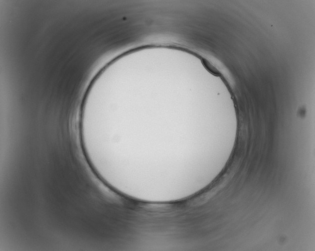 X0000116831343201001081430