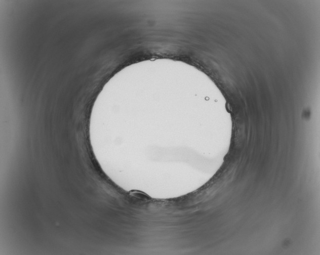 X0000116831345201001081429