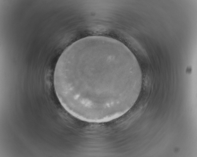 X0000116831346201001081429
