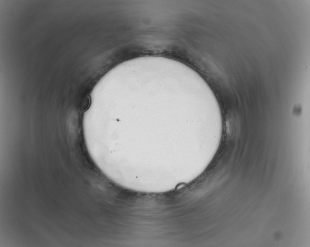 X0000116831347201001081429