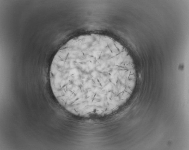 X0000116831348201001081429