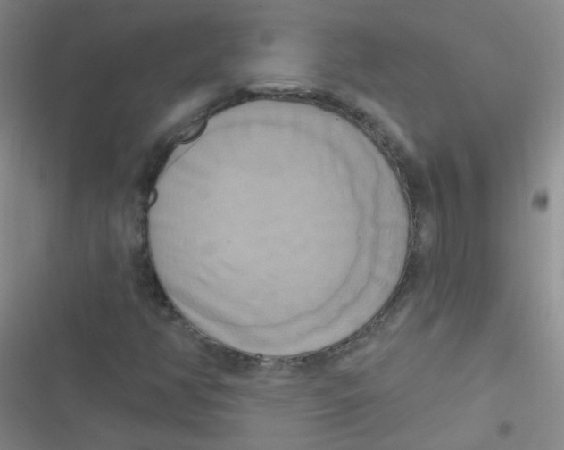 X0000116831350201001081429