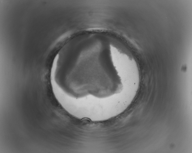 X0000116831351201001081429