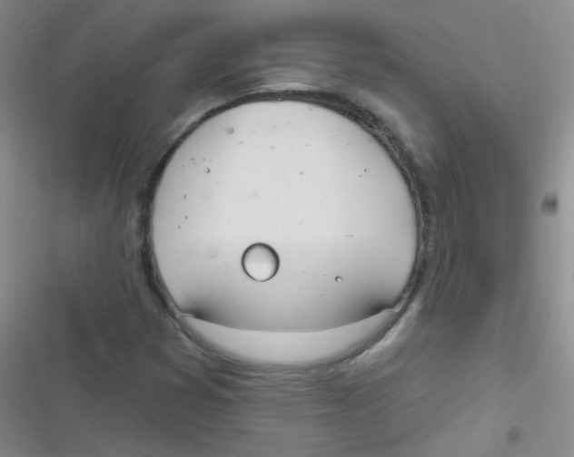 X0000116831353201001081429
