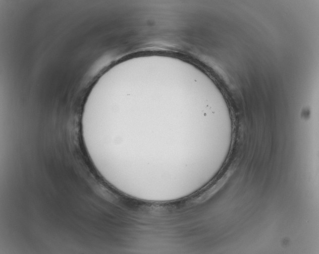 X0000116831355201001081429