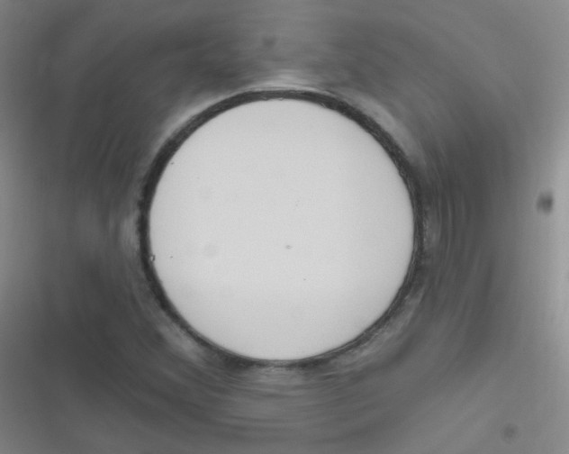 X0000116831356201001081429