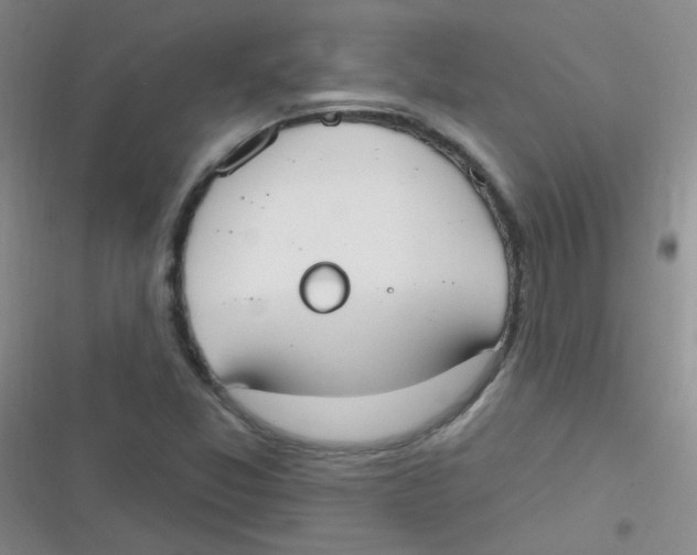 X0000116831357201001081429