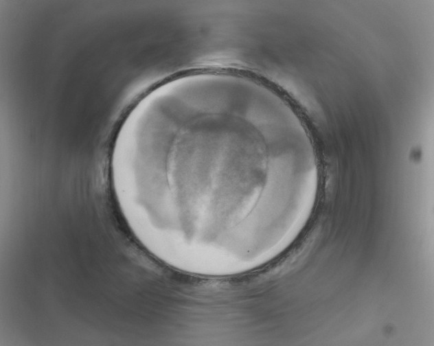 X0000116831358201001081429
