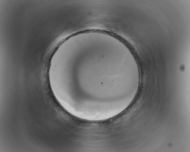 X0000116831359201001081429