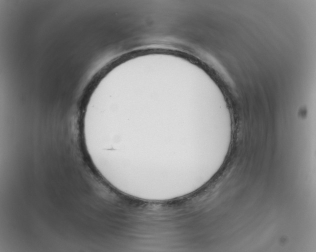 X0000116831360201001081429