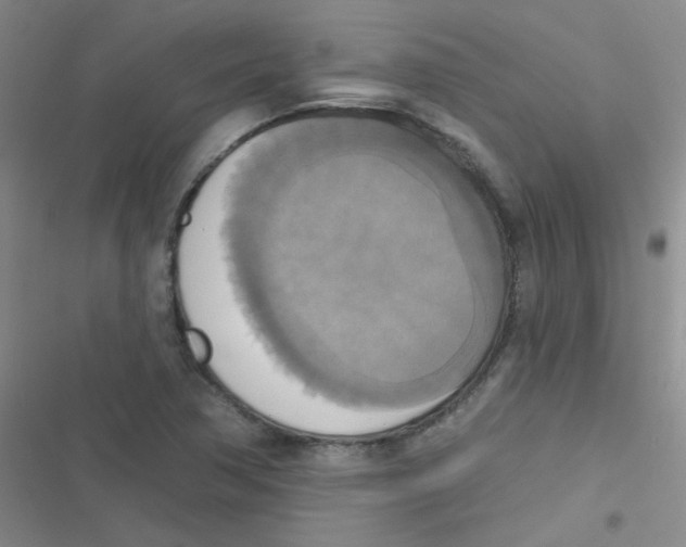 X0000116831362201001081429