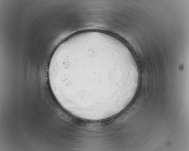 X0000116831363201001081429