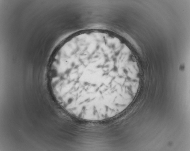 X0000116831364201001081429