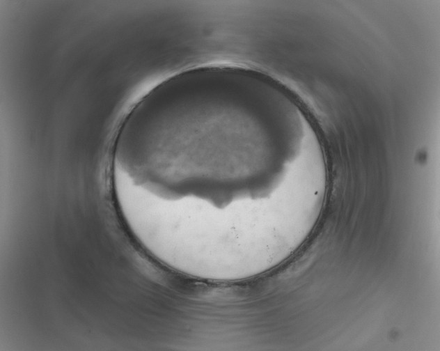 X0000116831367201001081429